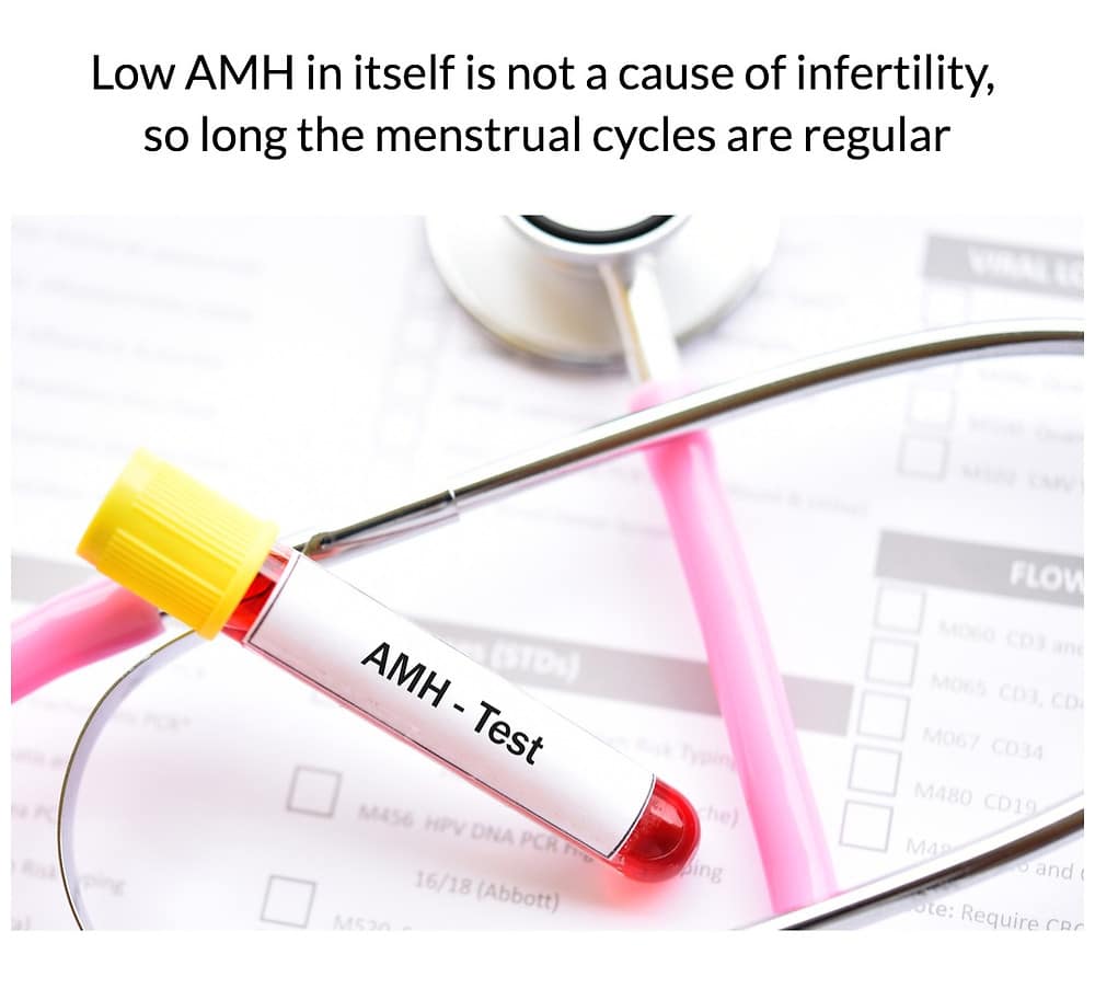Low AMH â effect on fertility