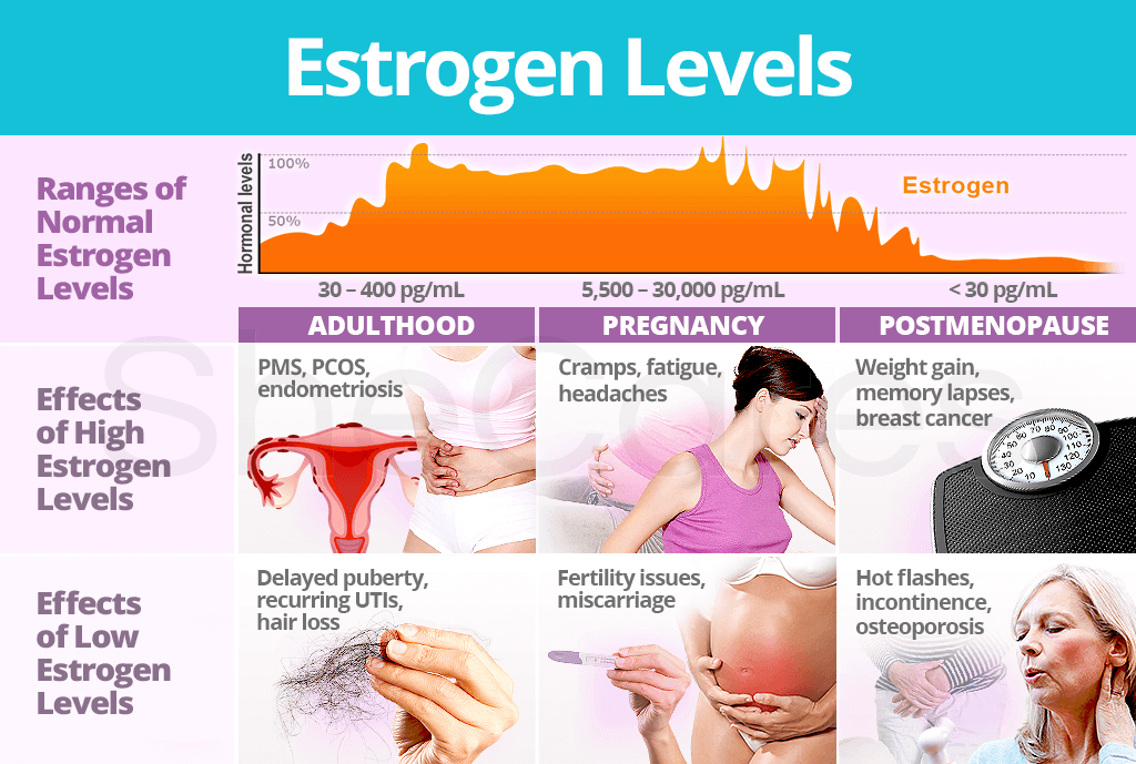 Low Estrogen And Weight Loss