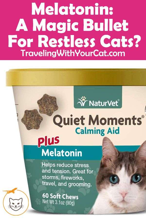 Melatonin: A Magic Bullet for Restless Cats
