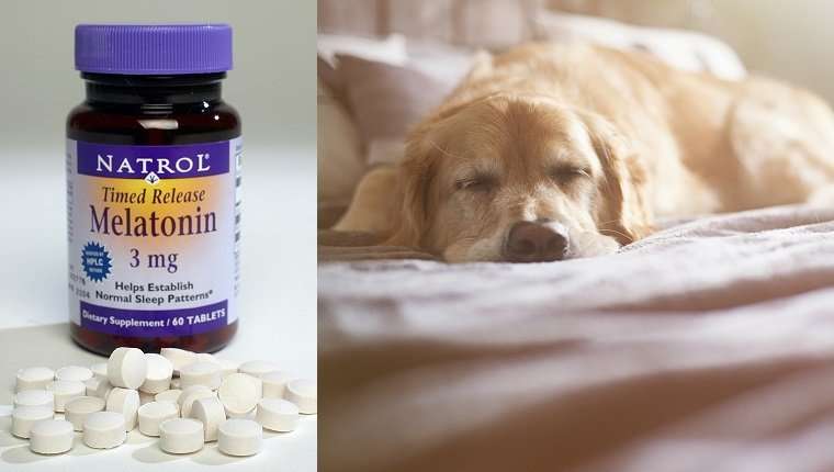 Melatonin: A Natural Supplement for Anxiety and Other ...