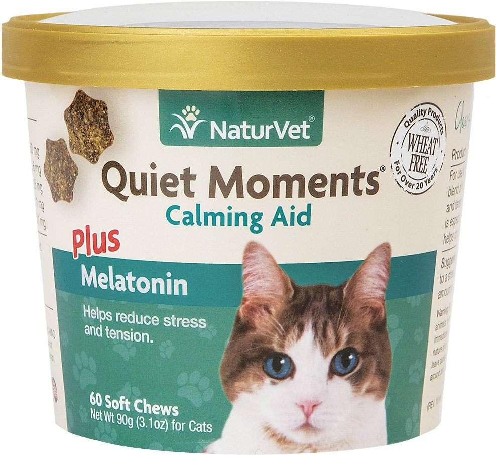 Melatonin For Cats: Can You Give It, And How Much?