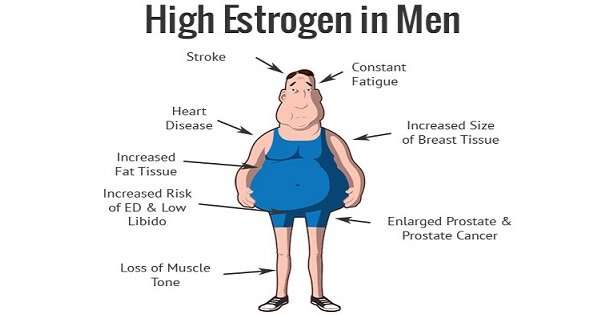 Men  How to Naturally Lower Estrogen Levels ? More ...