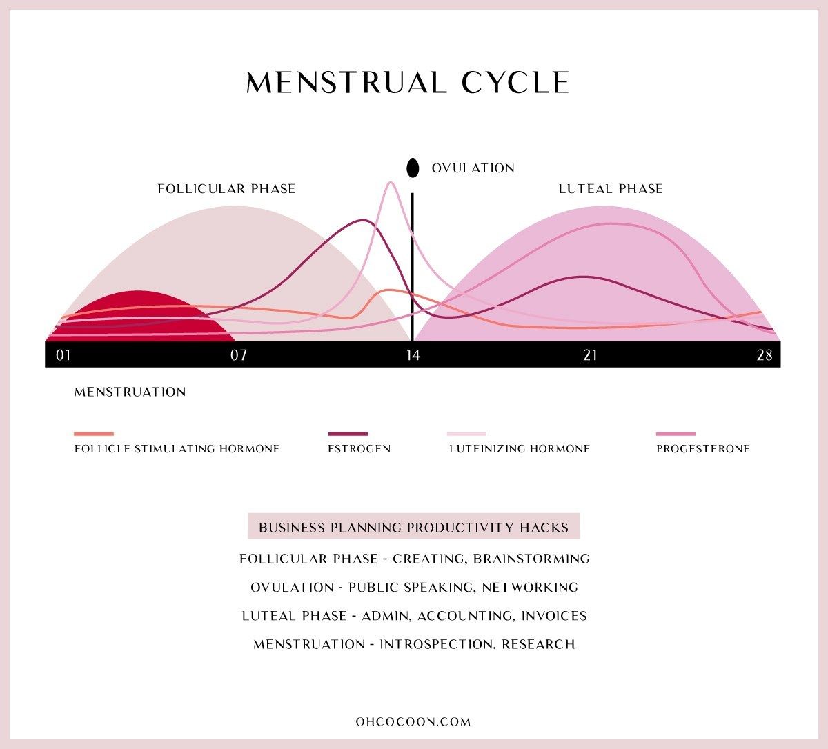 Menstrual Cycle Productivity Hack