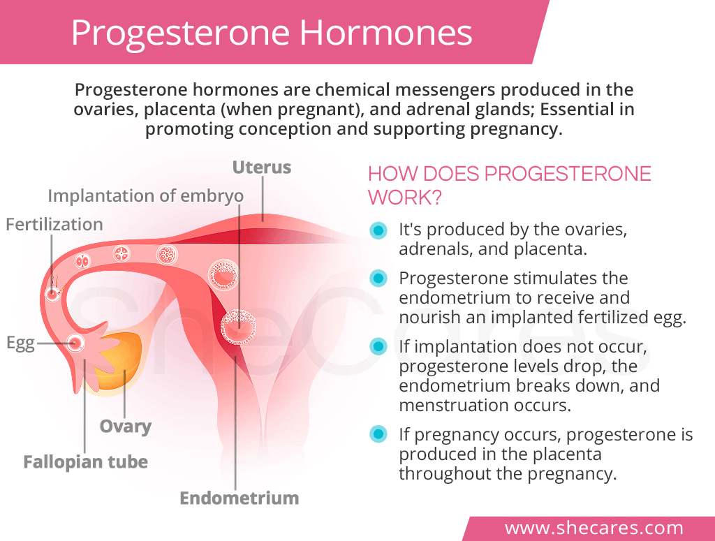 Normal Progesterone Levels