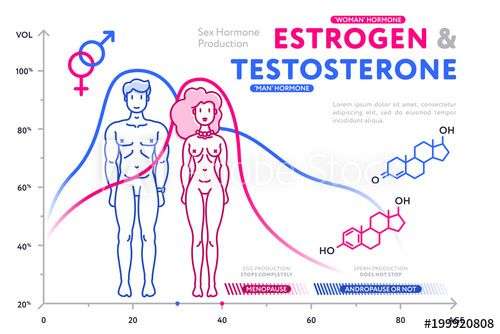 Normal Testosterone And Estrogen Levels In Women