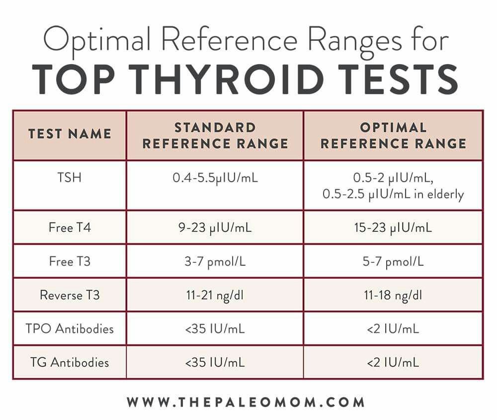 Pin by Dave N Brit Cannon on Thyroid/ MTHFR
