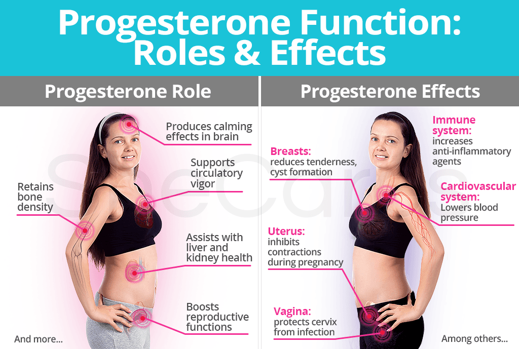 Progesterone Function: Role and Effects