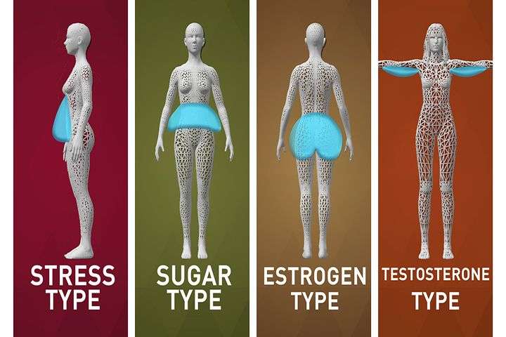 Quiz: What New Body Type Are You?: Find out how to ...