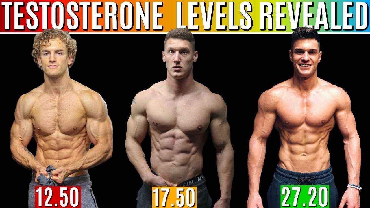 REAL Testosterone Levels REVEALED How to Increase ...