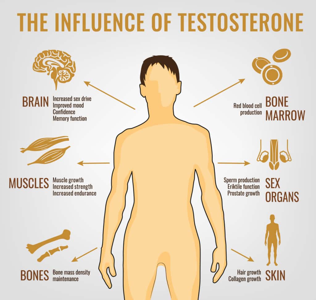 Tampa Male Hormone Testosterone Therapy