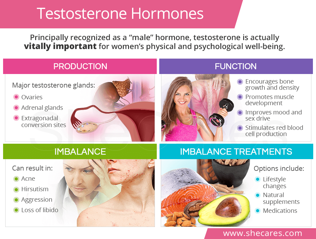Testosterone Roles and Effects