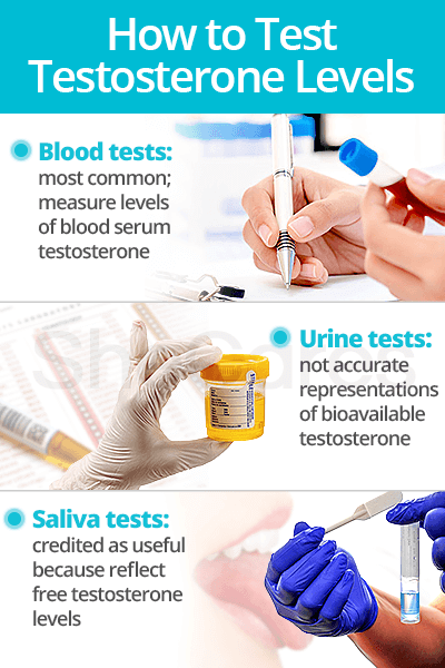Testosterone Tests
