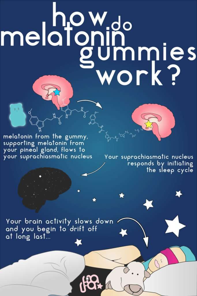 The Guide To Sleep Gummies (plus our favorites) â The ...