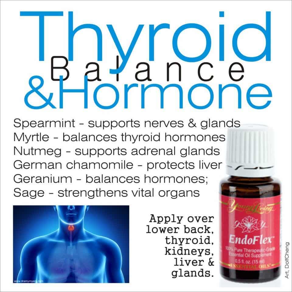 Thyroid Balance Hormone