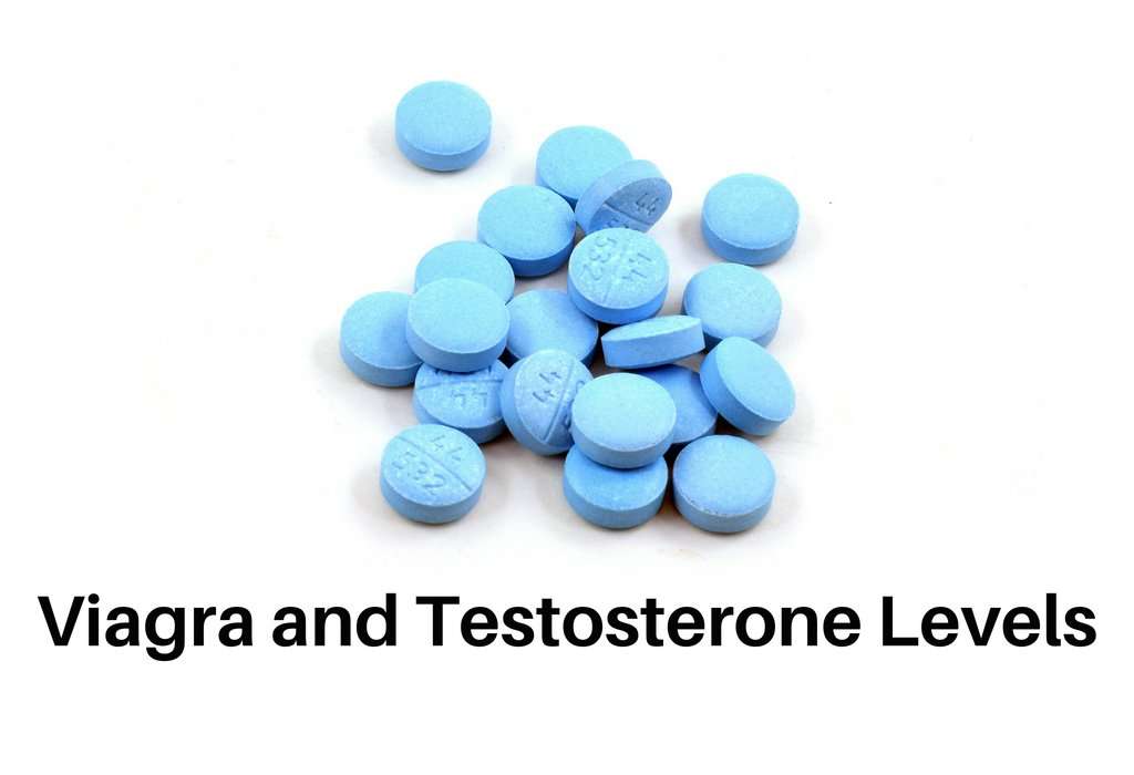 Viagra and Testosterone Levels