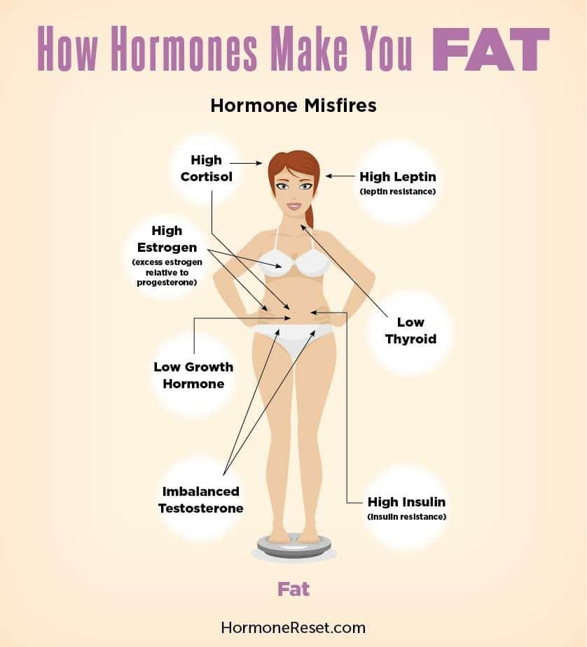 Weight Loss Program Using Hormones