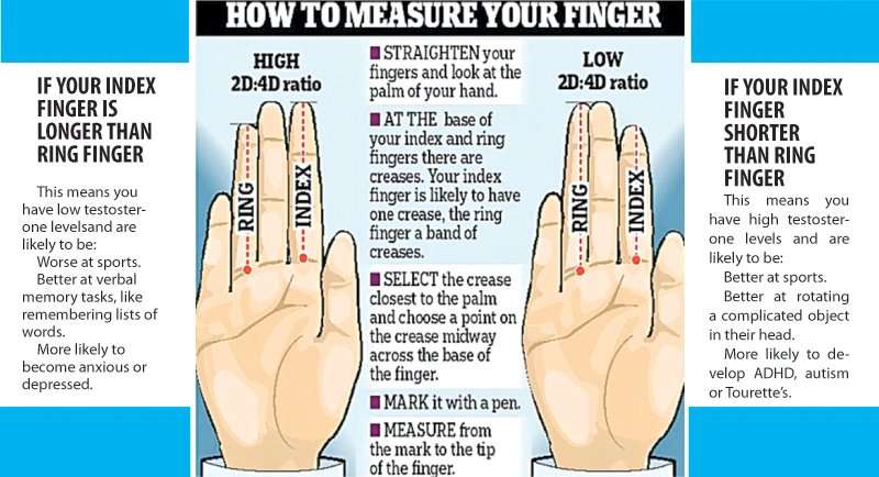 What do your fingers say about you?