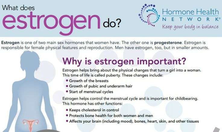 What Does Estrogen Do?