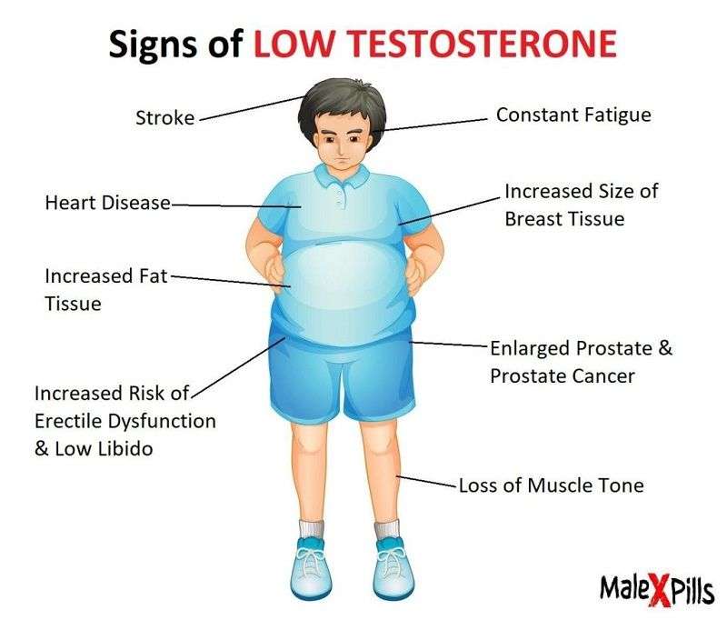 What Does Low Testosterone Mean & Its Effect on Body ...