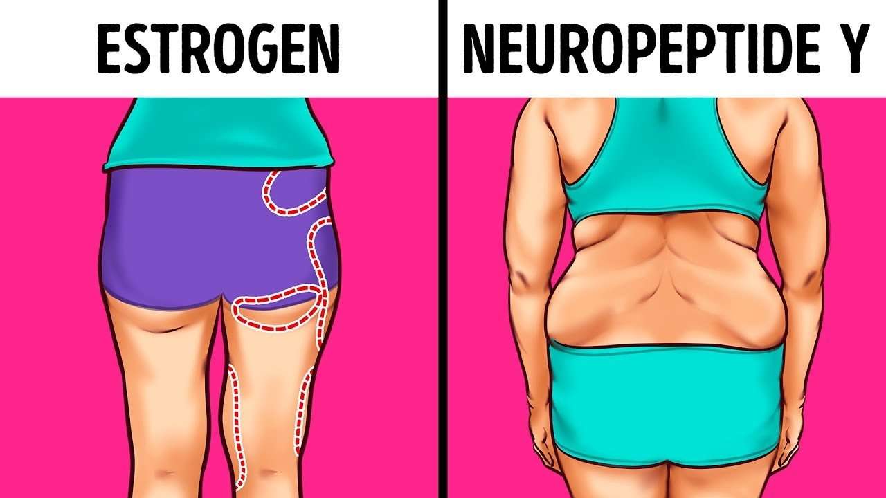 What Hormones Actually Make You Gain Weight