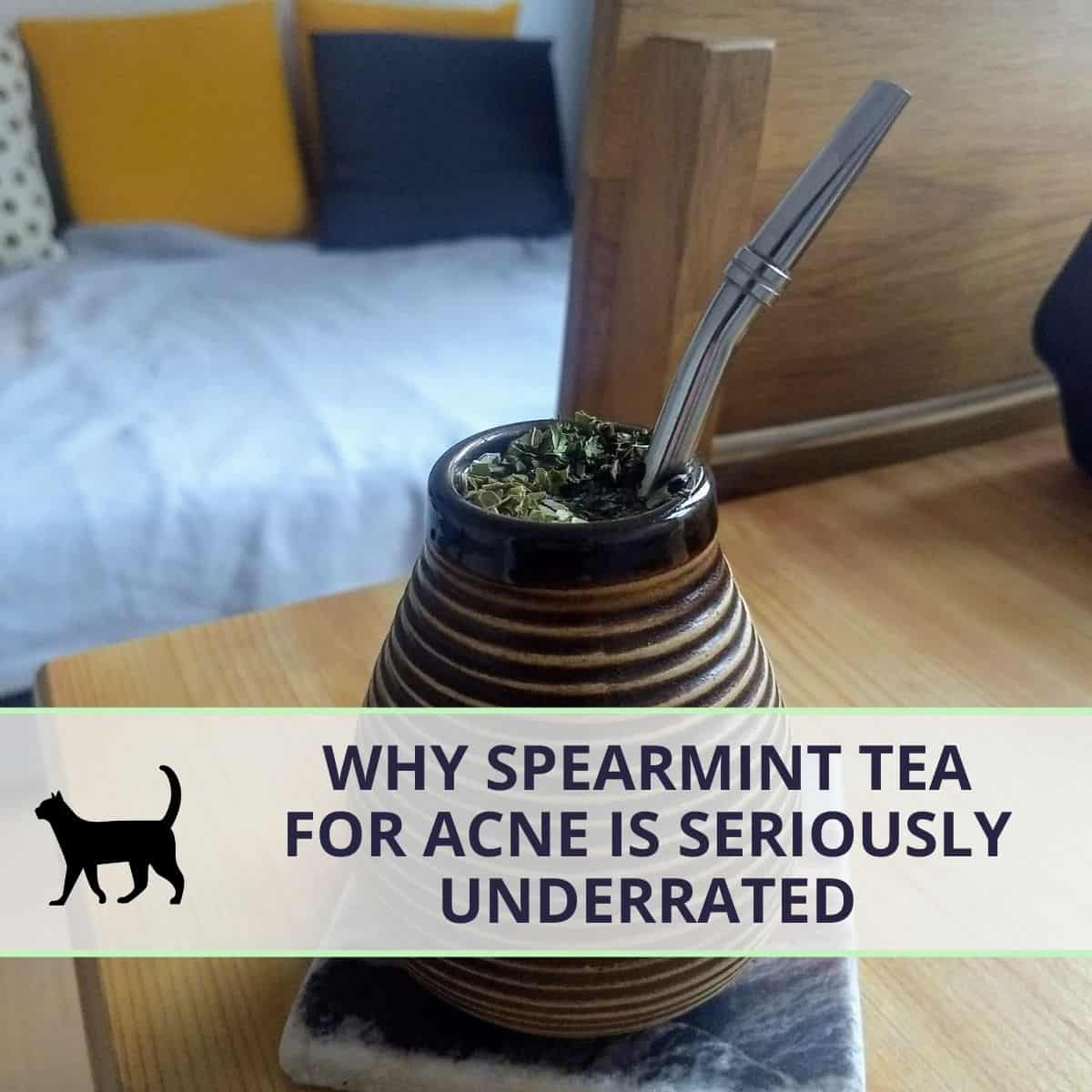 Why Spearmint tea for hormonal acne is seriously underrated