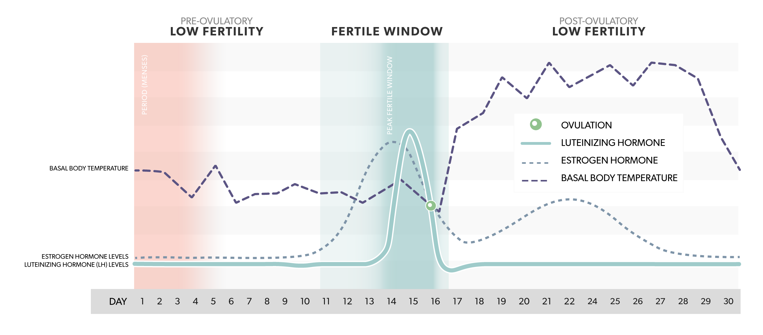 Why Track Fertility Hormones