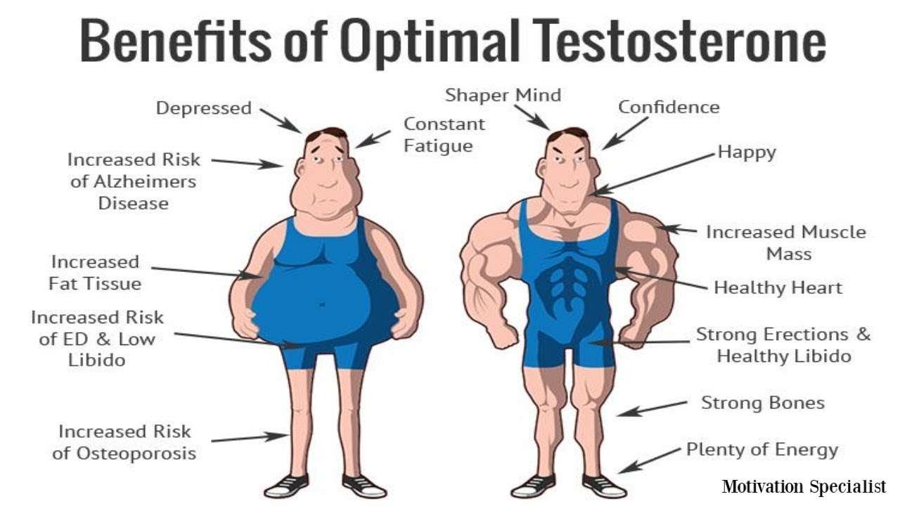 Why Your Testosterone Is Low &  How To Fix It!