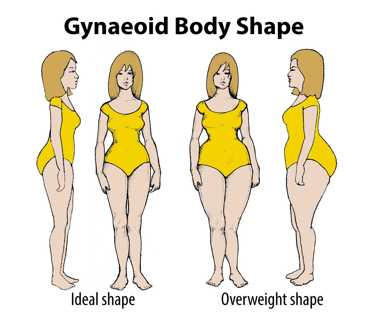 Your Body Type is